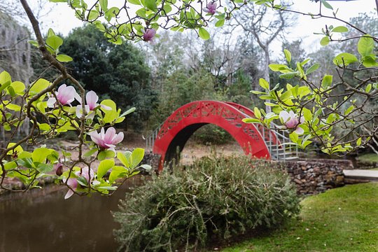 Tour image 2